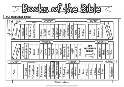 New Testament Books Of The Bible Worksheets