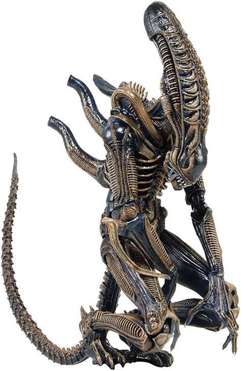 Alien Xenomorph Types