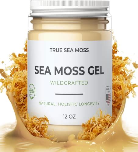 Wild Sea Moss Gel: Experience Nourishment from the Sea with Natural ...