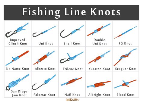 List of Different Types of Fishing Knots & How to Tie Them