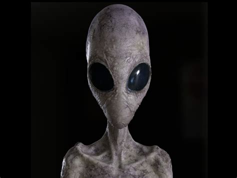 Alien (Extraterrestrial, 2014) | Alien Species | FANDOM powered by Wikia