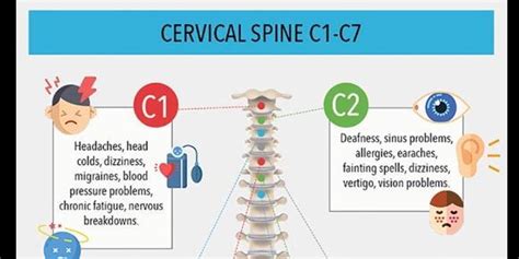 Symptoms of spinal misalignment C1 through C7