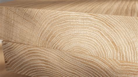 Oak wood End-grains Seamless PBR Texture