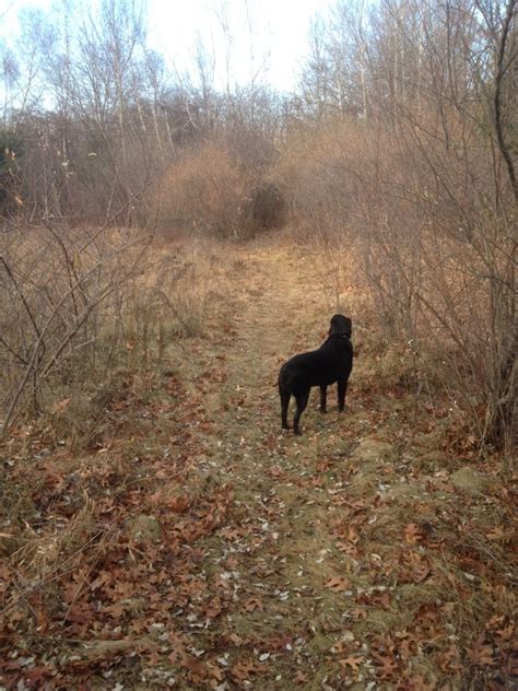 METHUEN RAIL TRAIL - Updated December 2024 - Methuen Rail Trl, Methuen ...