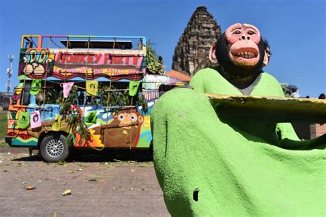 Lopburi Monkey Festival 2023 - 26th November 2023 | Tourist Bangkok