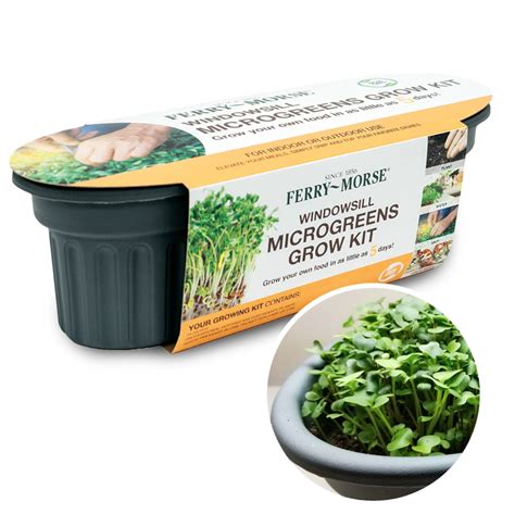 Windowsill Microgreens Grow Kit - Urban Roots