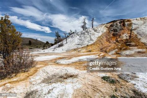 270 Mammoth Hot Springs Winter Stock Photos, High-Res Pictures, and ...