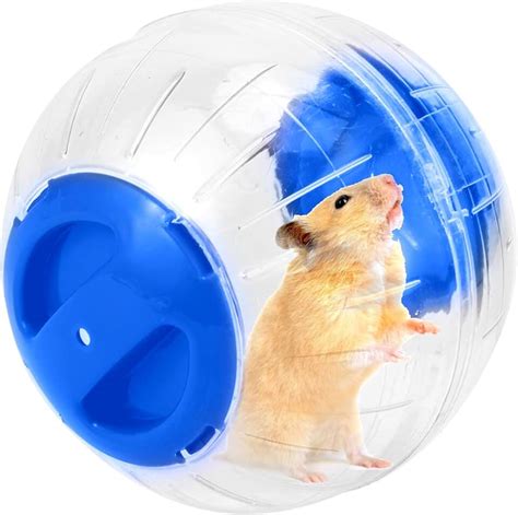 Amazon.ca: hamster ball