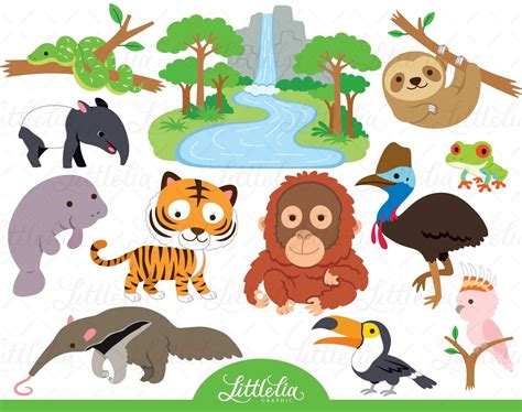 Rainforest Animals Clip Art | lupon.gov.ph