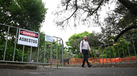 Asbestos-tainted mulch: Testing across Sydney set to begin | SBS News