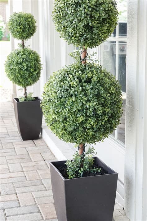 Topiary trees – Artofit