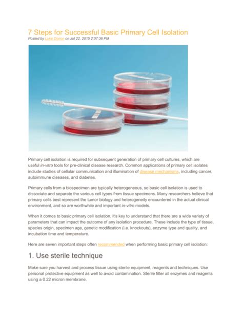 7 Steps for Successful Basic Primary Cell Isolation