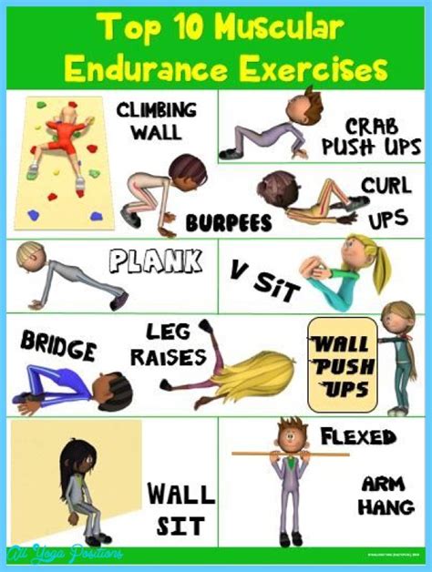 EXERCISE TO DEVELOP AND MAINTAIN MUSCULAR STRENGTH AND ENDURANCE ...