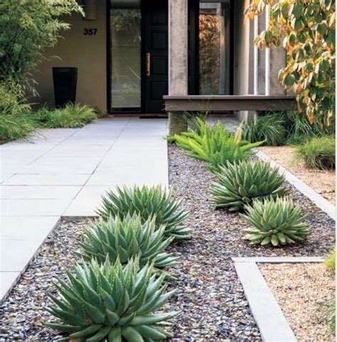 Top 70 Best Desert Landscaping Ideas - Drought Tolerant Plants