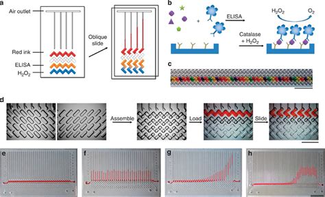 Working principle of the V-Chip.(a) Schematic view of a typical V-Chip ...