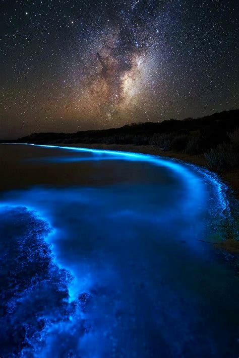 hellchildjavo: “Bioluminescent Bay by James Garlick ” | Nature, Nature ...