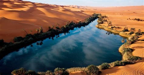 Sahara Desert Oasis : pics