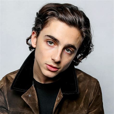 Timothee Chalamet Hairstyle Reddit - Timothee Chalamet Breaks Silence ...