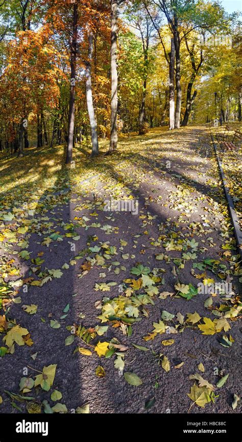 Autumn city park Stock Photo - Alamy