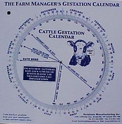 Cattle Gestation Calendar Calculate Birth Breeding | eBay