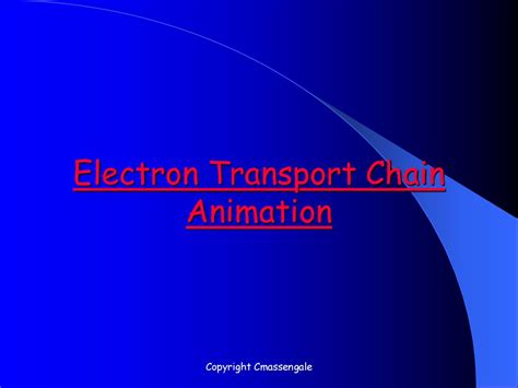 ADP, ATP and Cellular Respiration - ppt download