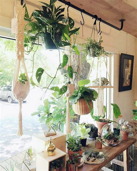 20+30+ Plants In Front Of Window – HOMYRACKS