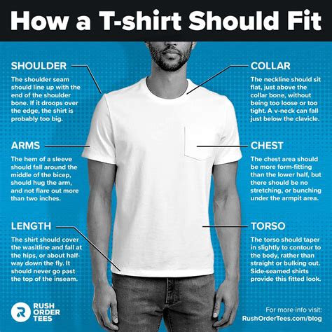 How a T-Shirt Should Fit: The Ultimate Guide | T shirt, Fitness ...