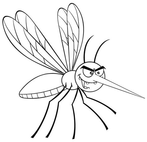 8 High Detailed Mosquito Drawing and Clipart Pages - Coloring Pages