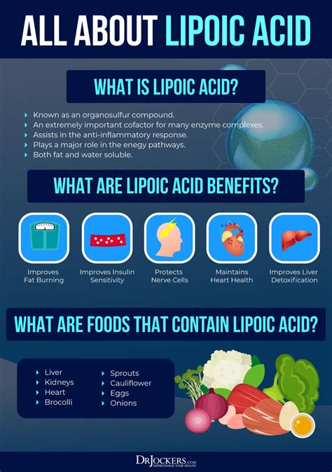 The Comprehensive Guide To Alpha Lipoic Acid: Benefits, Dosage, And ...