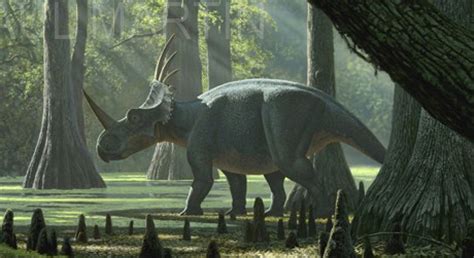 Styracosaurus - Dinopedia - the free dinosaur encyclopedia