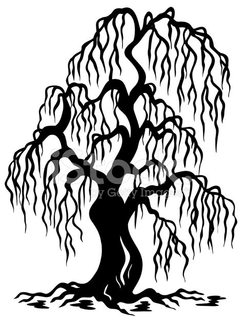 Willow Tree Silhouette Stock Photo | Royalty-Free | FreeImages