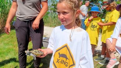 Kindergartners who help raise baby turtles and then set them free