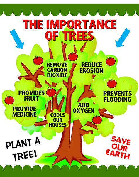 Make a Importance of Trees Poster | Arbor Day Poster Ideas | Importance ...