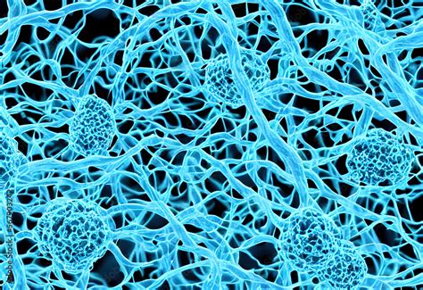 Microscopic images of nodes and nerves system in biological condition ...