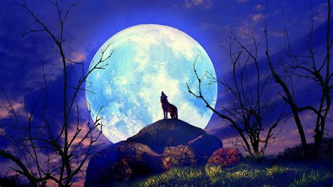 wolf, Nature, Full, Moon, Yelp Wallpapers HD / Desktop and Mobile ...