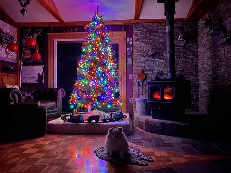 Cozy Christmas Living Room : r/CozyPlaces