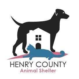 Pets for Adoption at Henry County Animal Shelter, in Martinsville, VA ...