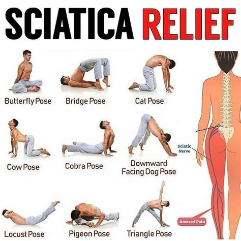 Exercises For Sciatica Printable