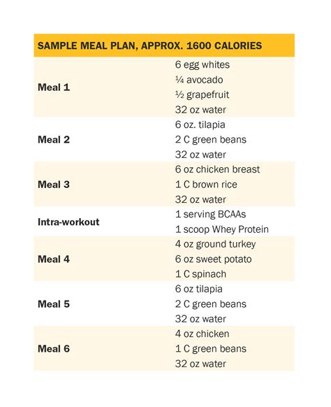 Female Bodybuilder Workout Plan - Infoupdate.org