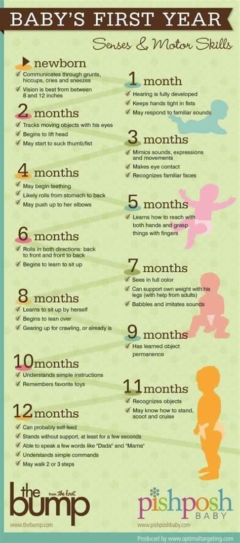 A Quick Guide to Baby's First Year Milestones - 2 Month Baby Milestones ...