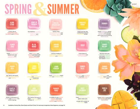 NEW! SUGAR SCENTSY BAR | Scentsy® Buy Online | Scentsy Warmers & Scents ...