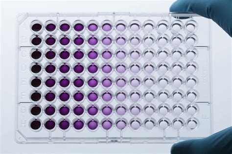 Introduction to cell culture techniques & challenges | INTEGRA