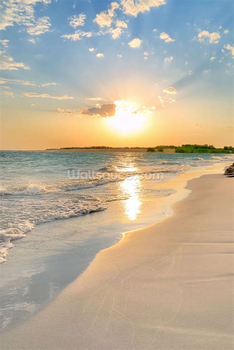 Beach Sunset Wallpapers on WallpaperDog