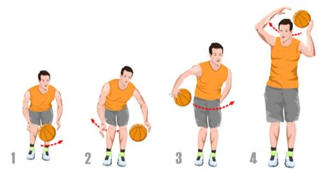 Basic Basketball Dribbling Drills For Beginners - Realhoopers