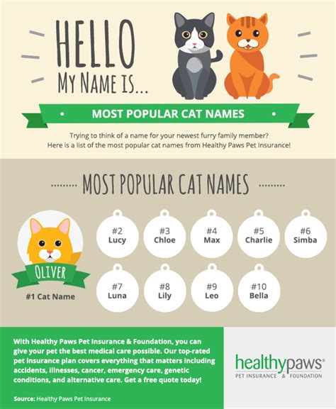 Popular Cute Cat Names | Healthy Paws Pet Insurance