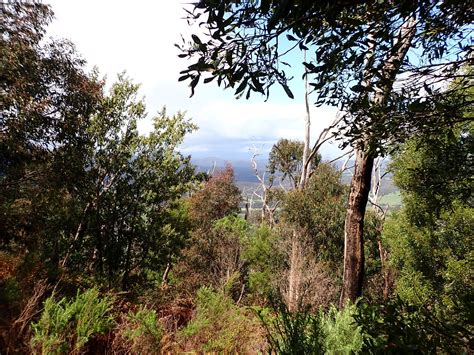 A visit to Kinglake National Park, Victoria, Australia – piece meal ...