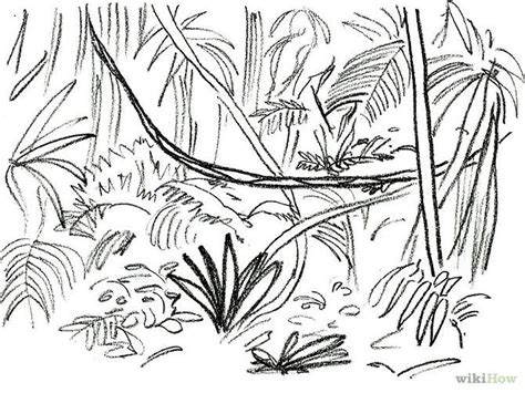 Jungle Creeper Drawings