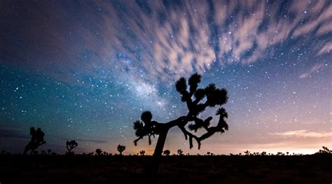 Joshua Tree Night Sky Festival 2024 - Berte Melonie