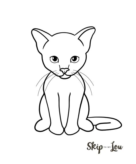 Top How To Draw An Cat of all time Don t miss out | howtodrawplanet4