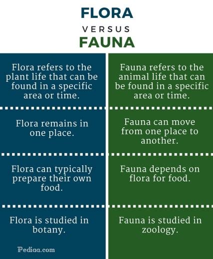 Difference Between Flora and Fauna